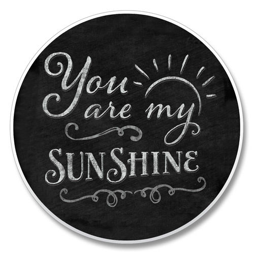 03 00180 YOU ARE MY SUNSHINE ABSORBASTONE ABSORBENT STONE CAR