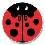 03-00069: LADYBUG ABSORBASTONE® ABSORBENT STONE CAR COASTER - HIGHLAND GRAPHICS