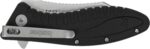 Kershaw 1319 Grinder Assisted Flipper Knife 3.25 inch Reverse Tanto Blade, Zytel Handles