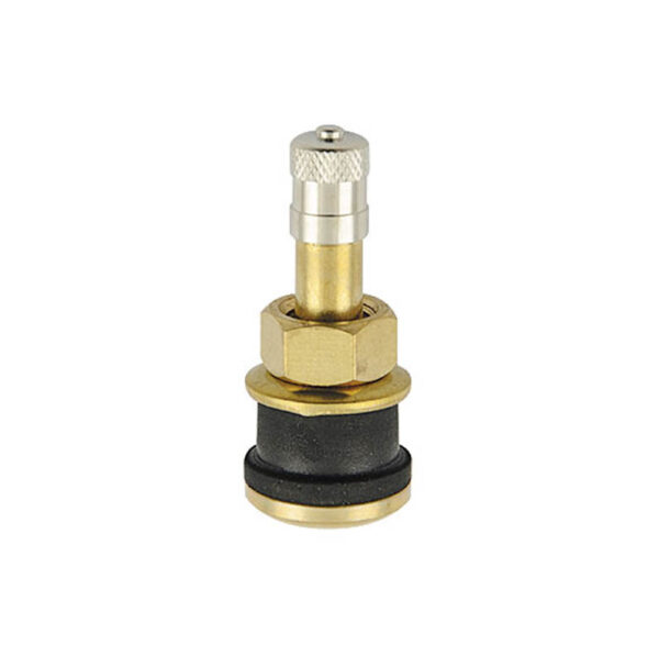 TR-501 Clamp-In Brass Truck Valve 1-1/2"